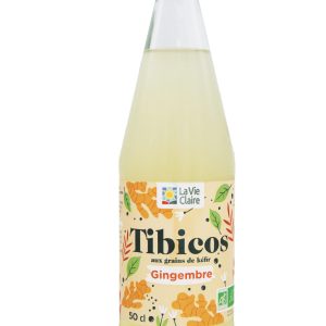 KEFIR DE FRUITS BIO – GINGEMBRE