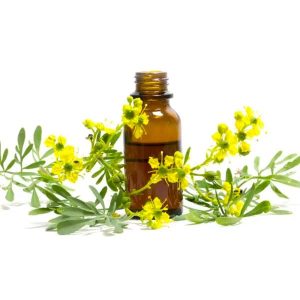 Huile de Hantite (Asafoetida) Ase Fétide – 1L