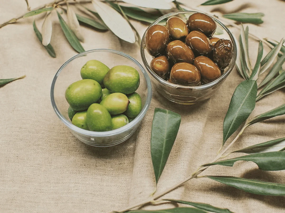 Dégustation d’olive et d’huile d’olive – Image 2